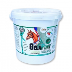 Gelapony® Vitamin 1800g