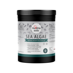 NuVena - Sea Algae 1500g (Ascophyllum nodosum) - Algi dla koni